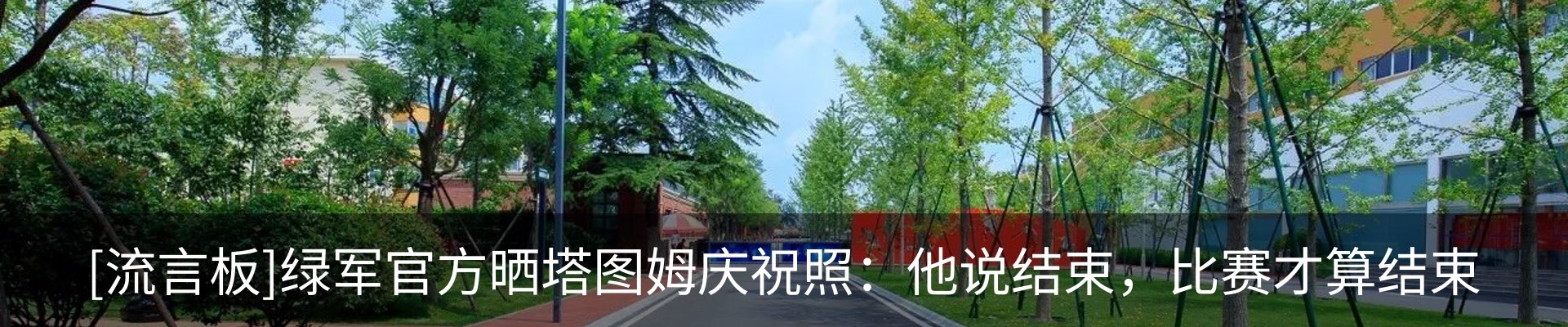 新闻动态